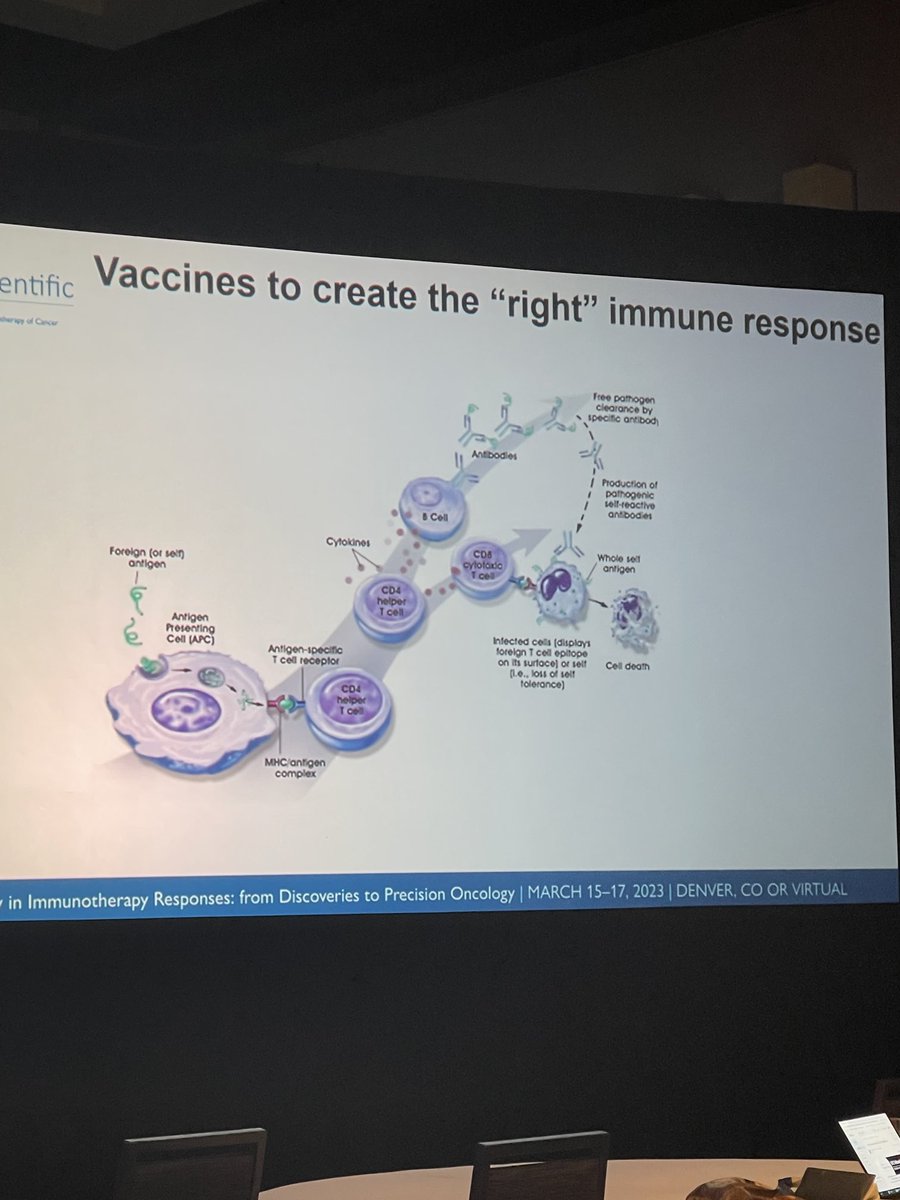 Chrystal_Paulos's tweet photo. Inspiring talk about antigen identification and CD4 T cell-based vaccines for pre-malignant breast lesions by Dr. Sasha Stanton @sestant29 at #SprITC @sitcancer. https://t.co/VgpdaH90PY