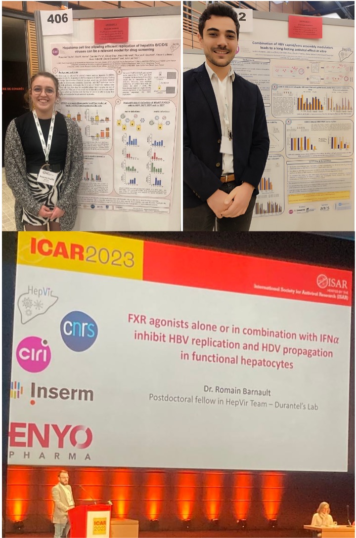 Good participation of <a href="/HepvirTeam/">HepVir Team</a> members at the @ISARICAR 36th International Conference on Antiviral Research (ICAR) ccc-lyon.com/36th-internati… that was held in Lyon this week!
Congratulations to Roxanne, Julien and Romain for their respective poster and oral presentations....