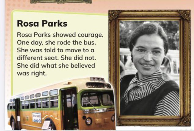By stripping away all mention of racism, Florida children will basically learn that Rosa Parks was as brave as a woman saying she won’t trade seats on a Delta Airlines flight to let a couple sit together.