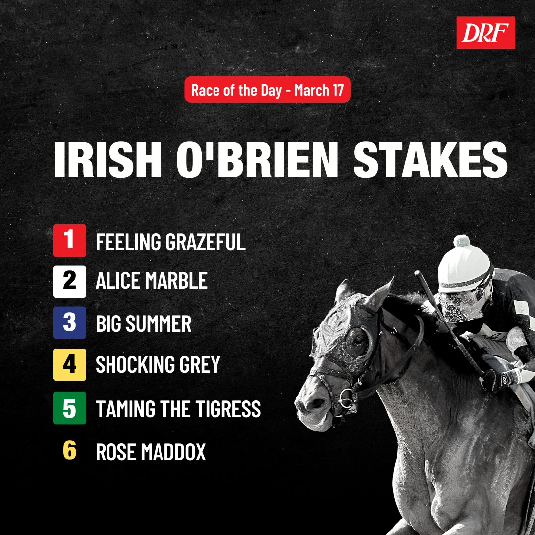 Daily Racing Form on Twitter: "🏇 Get FREE Formulator PPs: https://bit ...