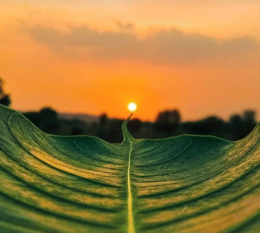 Life is beautiful. If you don't enjoy that, you're going the wrong way.
