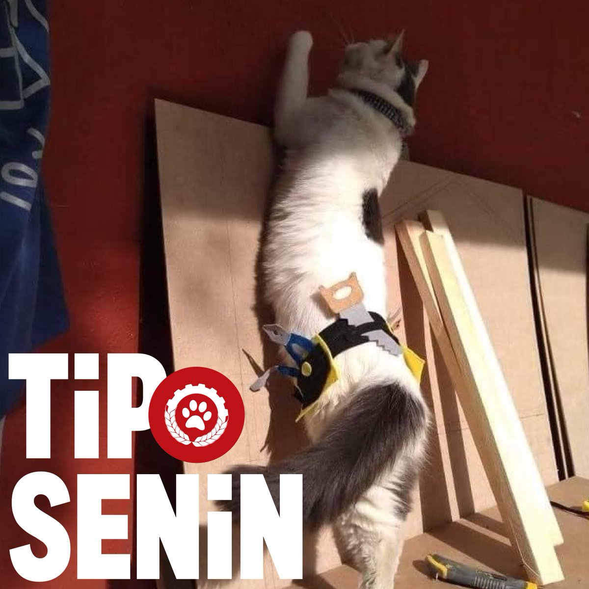 IsciPatisi's tweet photo. Daha iyi çalışma koşulları istiyorsan #TİPSenin! https://t.co/aIke88NUCV
