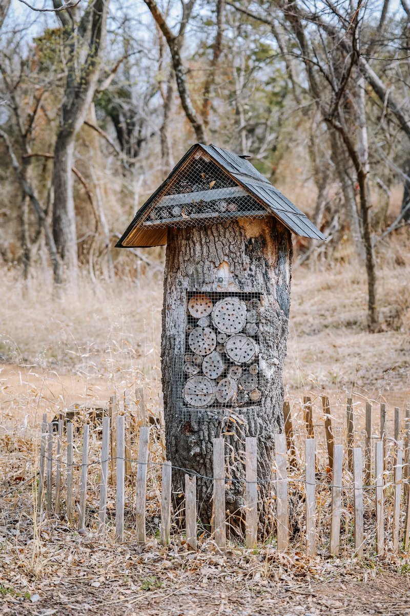 Nathan J. Fish tweet media