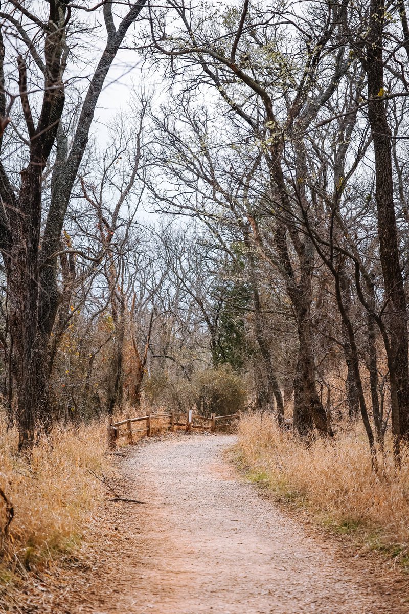 Nathan J. Fish tweet media