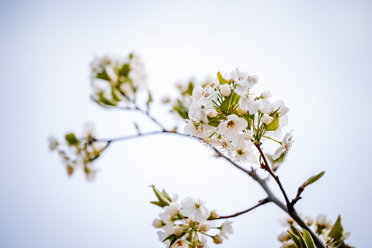 Nathan J. Fish tweet media