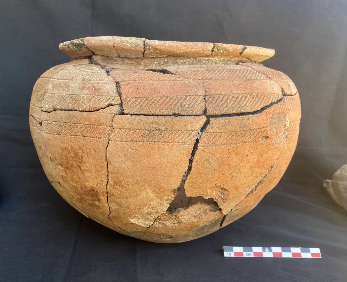 jubudka's tweet photo. This is such an amazing vessel, found during our 2023 @DiverseNile season complete(but broken) in situ in our Pan-Grave style burial in cemetery GiE 003 #MiddleNile #Sudan #BronzeAge #pottery https://t.co/QtbuRvYIH5