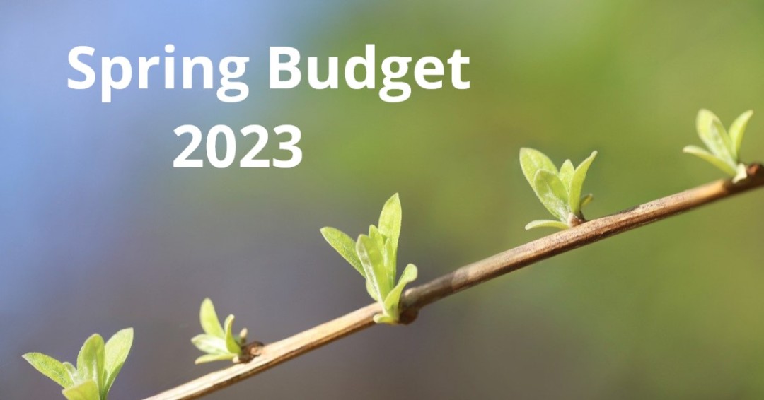 We look at some of the measures announced in the Spring Budget, which focused on business investment and growth, set against a challenging economic landscape. See more here: wiseandco.co.uk/news-views/spr… #SpringBudget #Budget #Tax #Businessadvisors
