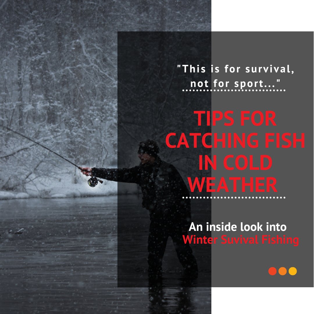 Survival Homes and Gardens tweet media