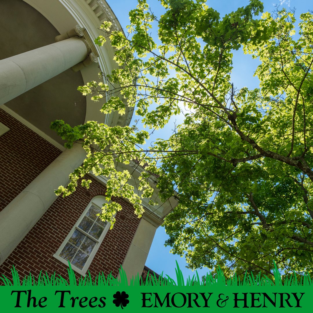 Some have also said their favorite green spot on Emory & Henry's Emory campus is all over with the trees and even the entire campus in the beautiful mountains of Southwest Virginia? @mySWVA #stpatricksday 
💙Blue + 💛Gold = 🍀Green!