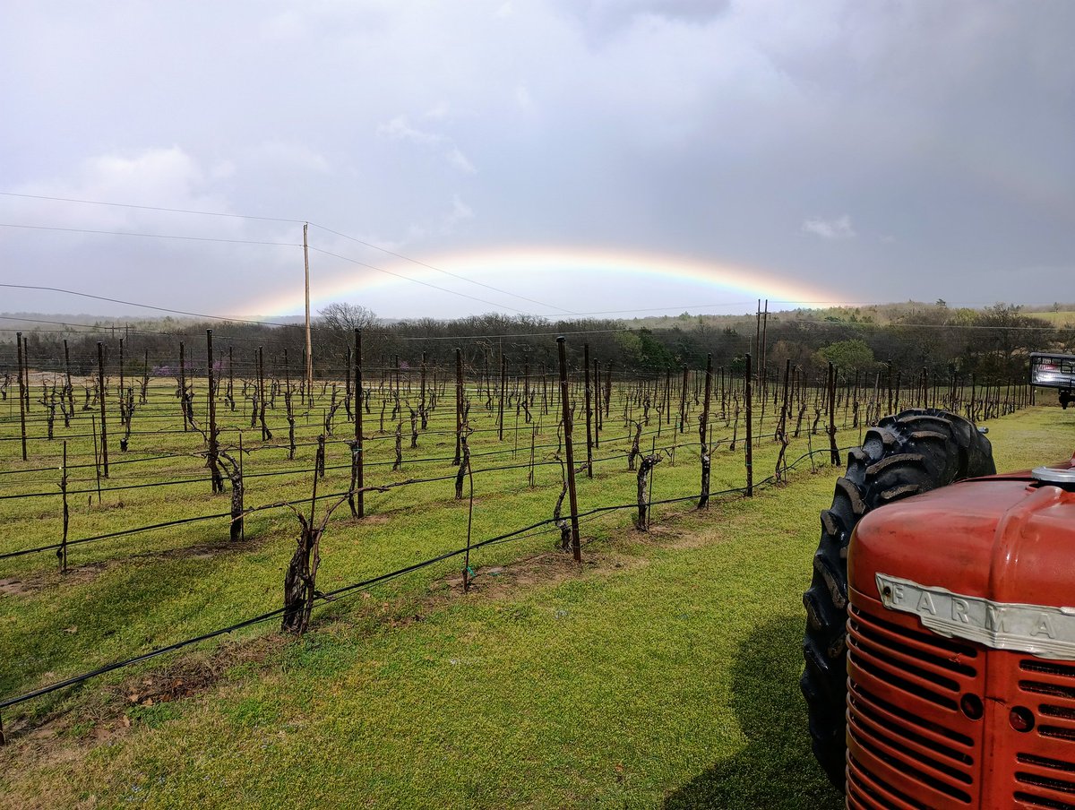 ArcheWinery's tweet photo. Rainbow growing from the vineyard!
#archewinery #rainbow #vineyard https://t.co/sT9IjT5pSK