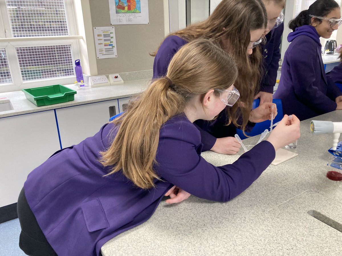 RicardsSTEAM's tweet photo. Well done to our amazing year 8 students on completing their science enrichment programme at @KCSWimbledon @RicardsTweets #STEAM #GirlsinScience https://t.co/ro7F8i9vmv