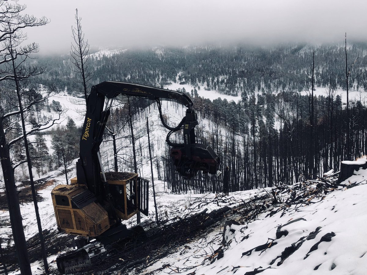 BlackHillsNF's tweet photo. #ForestFeatureFriday: The cutting and hauling of timber off the Fish fire is complete. https://t.co/NQKdEZhrUf (π·: Fish fire salvage by Shelby Brunson, Black Hills NF/USDA FS) https://t.co/NQ8IYoyo8F