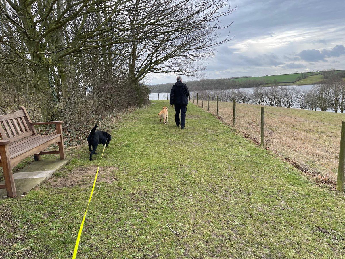A fun, chilled end to week for our Military Working Dogs (MWD) 

A few of our MWD’s enjoyed exploring in the beautiful Rutland Water, to end their working week.

Here’s a few photos of Military Working Dogs Jake & Szutyko, enjoy a morning walk today.

#DATR #MilitaryWorkingDogs