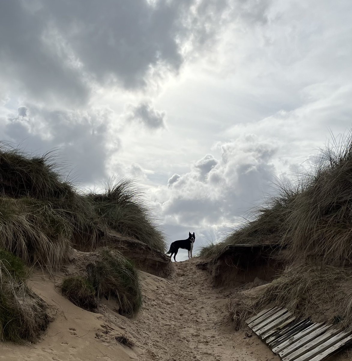 kathydjourno tweet media