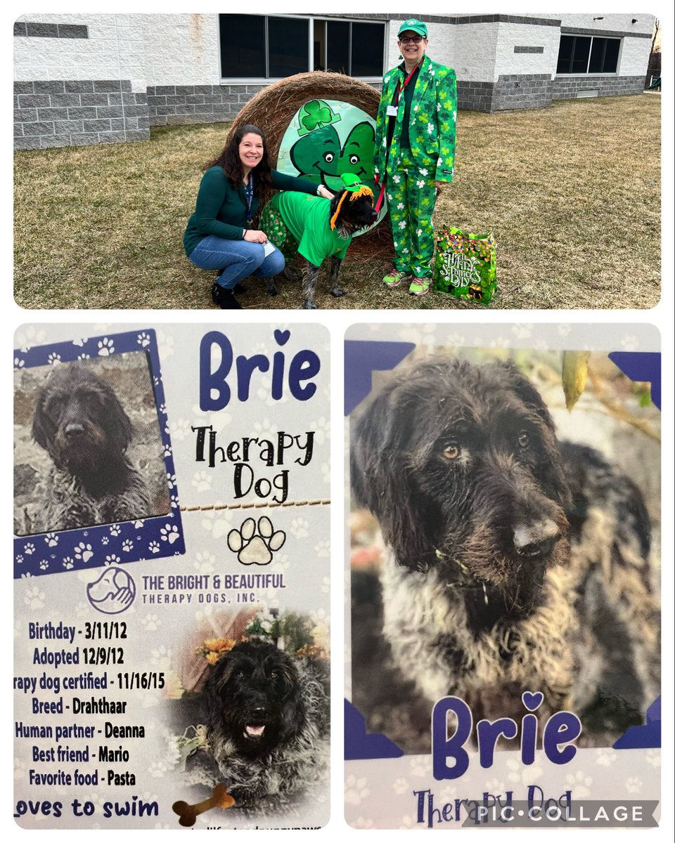Today we had a special visit from a therapy dog, Brie, and her handler Deanna. They both brought such joy to our students and we just loved the festive outfits! <a href="/TewksburySchool/">Tewksbury Township School District</a>