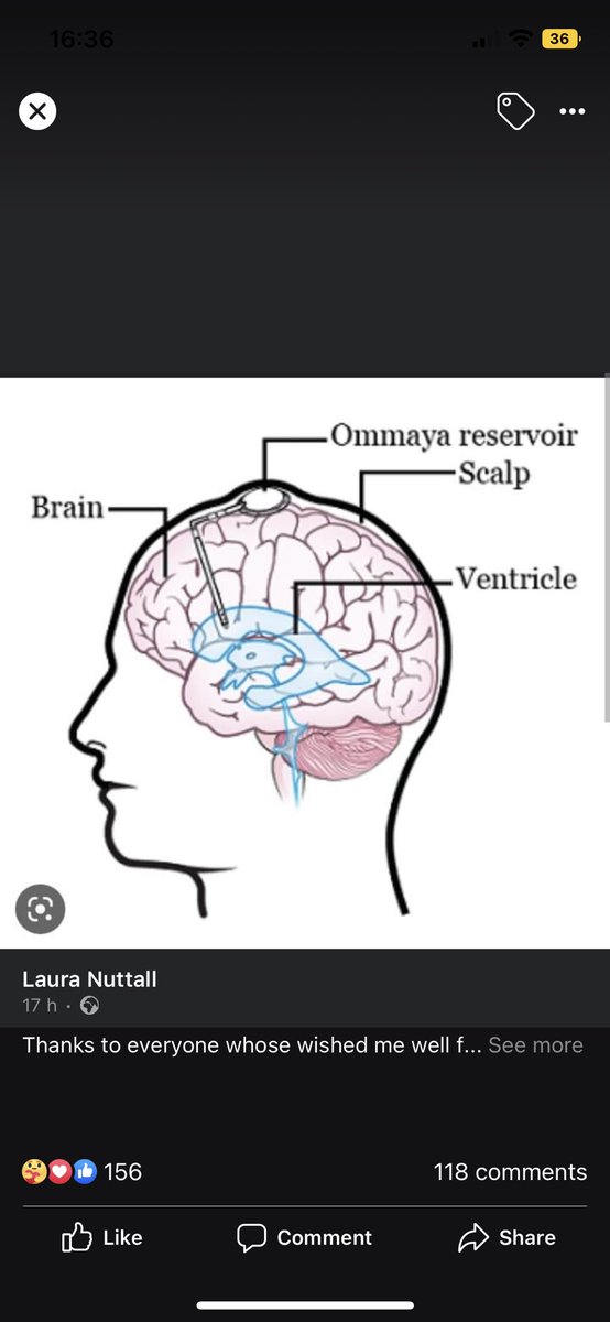 shitscaredmum tweet media