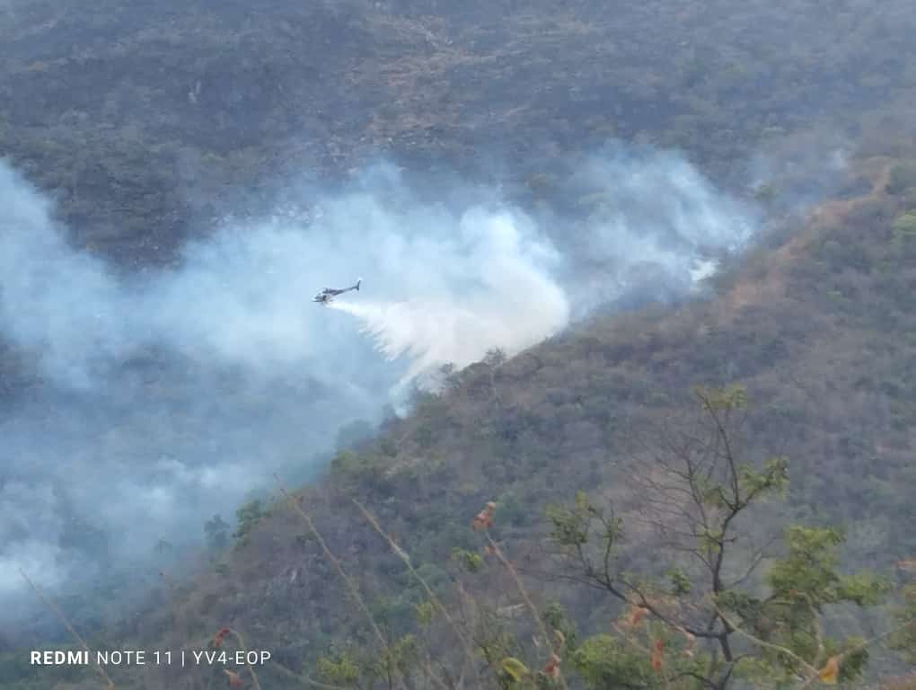 PCazador2021's tweet photo. #OperacionLlovizna 🔥🚨Activado helicoptero Tigre 1 REG PA-001 #Policia de #Aragua AS350 en sofocar incendio activo fila la cabrera y cerro el picacho Mcpio. MBI El Limon Parque Henri Pittier https://t.co/Ng2W6R3NWm