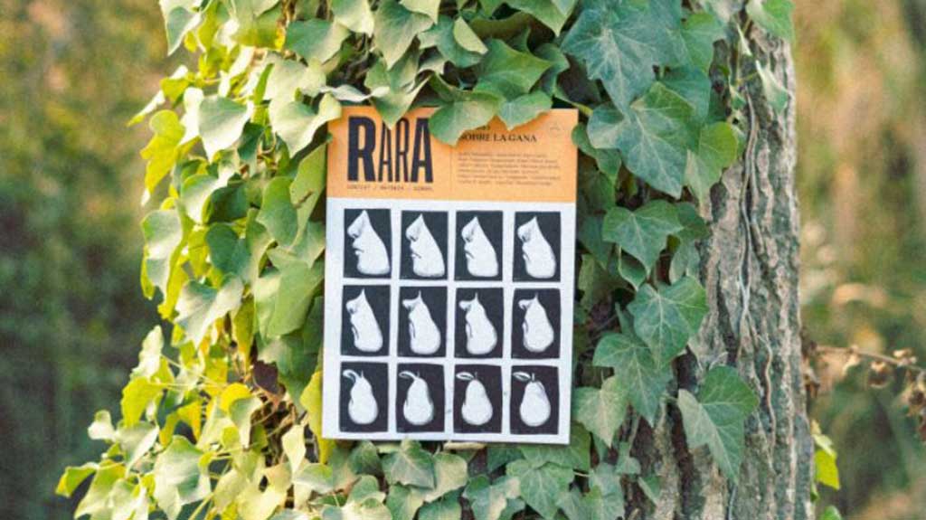 ▶ LA NOTÍCIA: Amposta i Tortosa donen a conèixer la revista cultural ‘Rara’
#TerresdelEbre #Comunicació #publicacions #revistes #rural <a href="/annazaera/">annazaera</a> <a href="/LaRomanticaLL/">Helena - Llibreria La Romàntica</a> <a href="/la2deViladrich/">Llibreria Viladrich</a>

setmanarilebre.cat/amposta-i-tort…