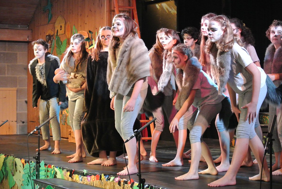 SJCS_Cambridge's tweet photo. F5 you certainly did yourselves proud last night~dancing, acting, singing &amp; those helping with lighting. The audience loved the energy, enthusiasm &amp; commitment you all gave &amp; we can't wait for Saturday's performance! #BringItOn #drama #music #dancing #singing #F5team #JungleBook https://t.co/xDQiz0DyPI