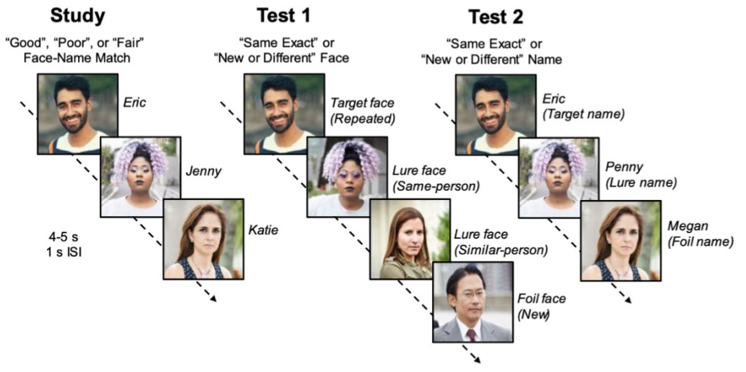 Excited to share a preprint of our novel face-name mnemonic discrimination task with naturalistic stimuli! psyarxiv.com/4fbtv/ @RenaeMannion received an @NSF REU fellowship to conduct this work with co-authors @amharikumar @F_Morales_Calva Great work all!