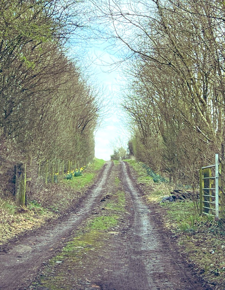 Cheeky little recce with <a href="/StoicEvents/">Stoic Events</a> for their Hunted Event that some awesome <a href="/AcornsHospice/">Acorns Children's Hospice</a> 
Ambassadors will be taking part in to raise much needed funds.  Will they evade the Hunter Force? 👊🗡️