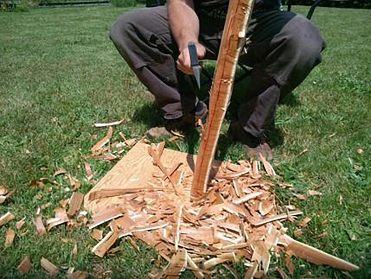 TheLongbowShop's tweet photo. Only 2 spaces left on our Ravenbeak Yew Longbow making course for this April - more details here https://t.co/gNZ1F2YS32 https://t.co/p2Vo08yh1C