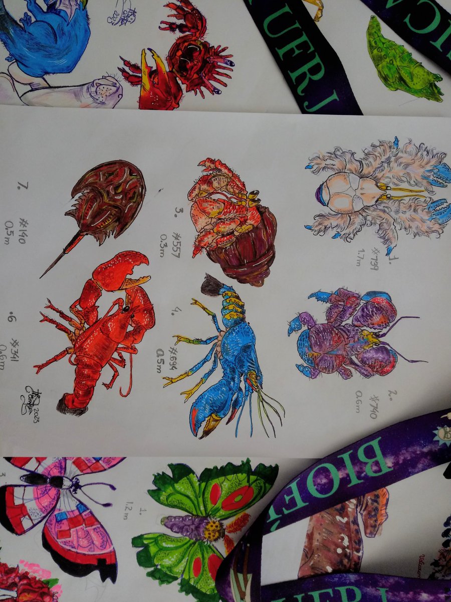 heythiagobitch's tweet photo. Oi , Sou Thiago Biologo e ilustrador tenho uma paixão por Zoologia 
E faço artes mais realistas de Pokemons , e vi a página aqui de uma Bióloga Marinha com uma especialização em crustáceos @_ohcrab , e é muito legal o conteúdo dela 💕 https://t.co/QnHtqCGXTE
