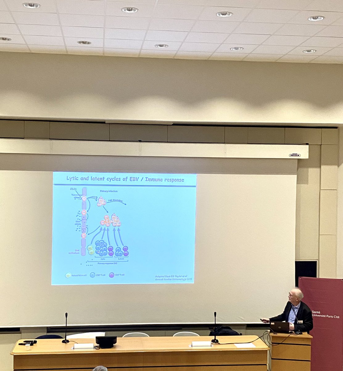 cecile_hub's tweet photo. Pr Alain Fischer - Invité d’honneur du symposium inaugural de l’institut d’immunologie et d’immunopathologie 👩🏼‍🏫 @univ_paris_cite   #immunology https://t.co/crRKCHqOsK