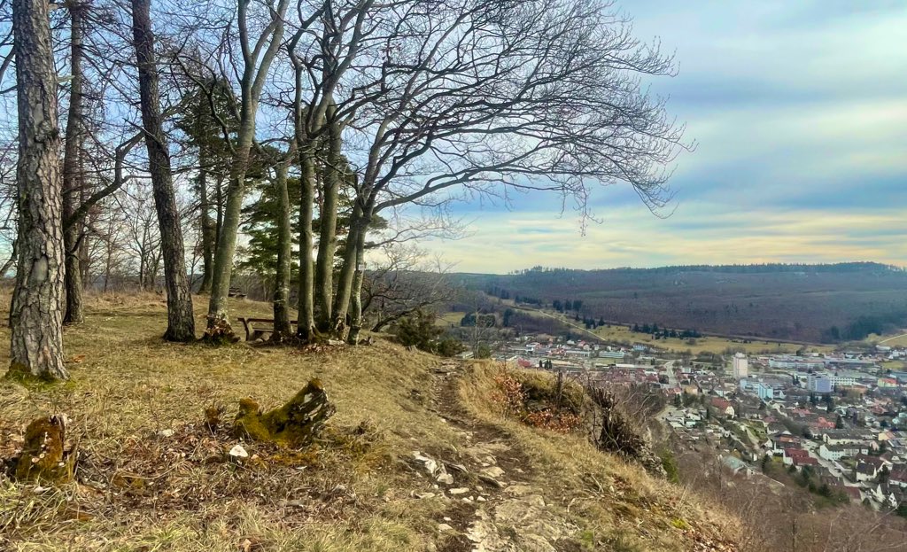水筒持って1人ハイキング😚✨
わぁー気持ちいい✨

家のすぐそこがハイキングコースだから、コレからの季節が最高だ🥺 https://t.co/ZlAPaNp4pK