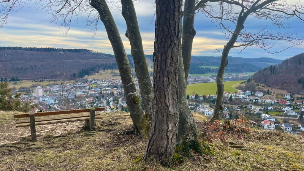 水筒持って1人ハイキング😚✨
わぁー気持ちいい✨

家のすぐそこがハイキングコースだから、コレからの季節が最高だ🥺 https://t.co/ZlAPaNp4pK