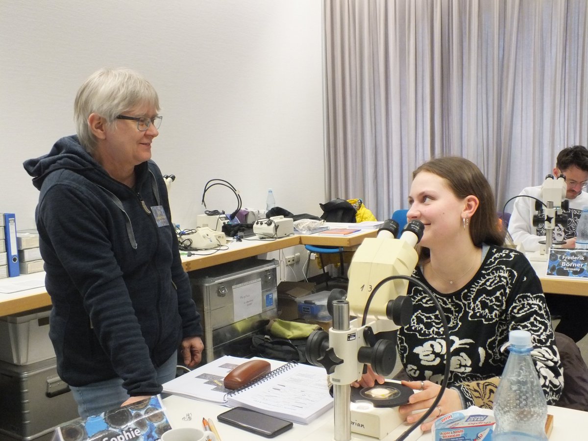 FluegelCourse's tweet photo. #FlügelCourse #thinsection #carbonate #microfacies https://t.co/AM8ZSTHMIL