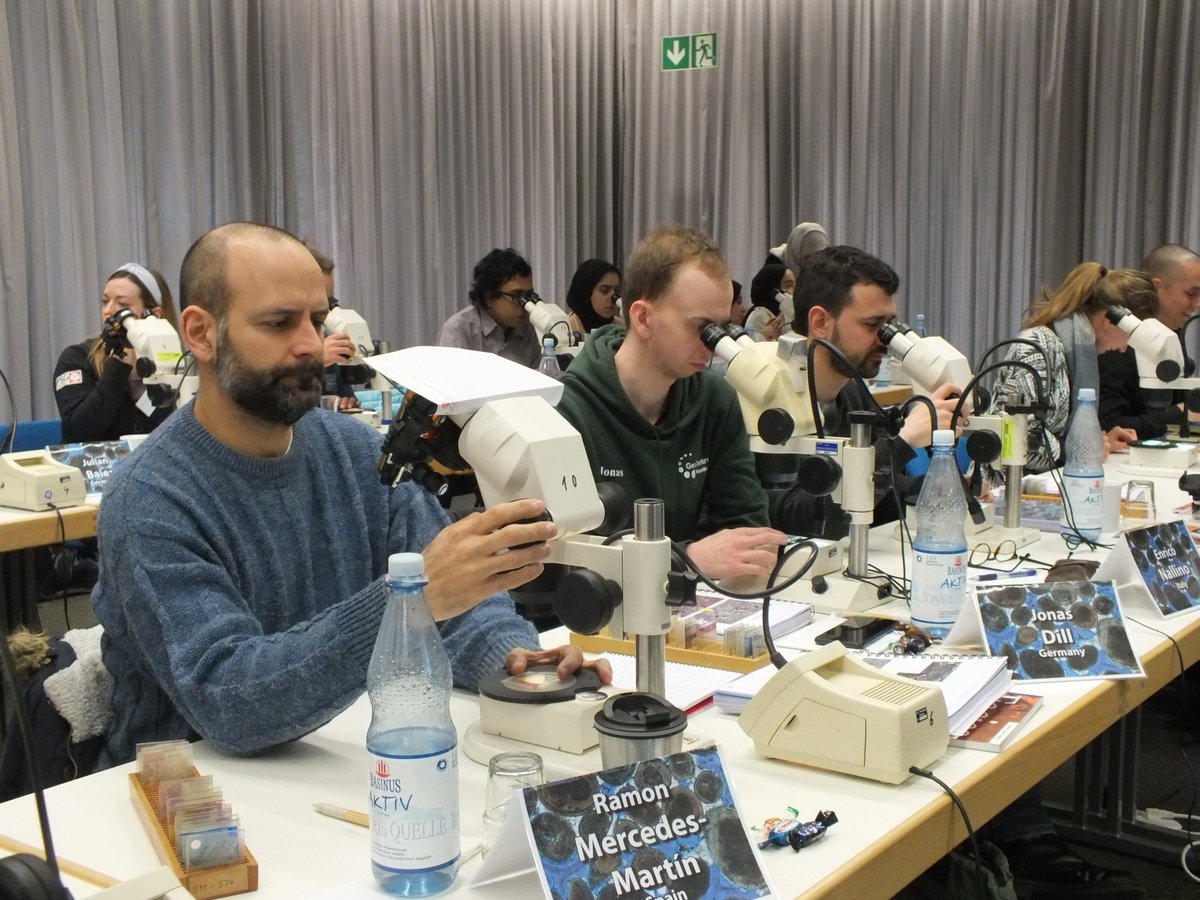 FluegelCourse's tweet photo. #FlügelCourse #thinsection #carbonate #microfacies https://t.co/AM8ZSTHMIL
