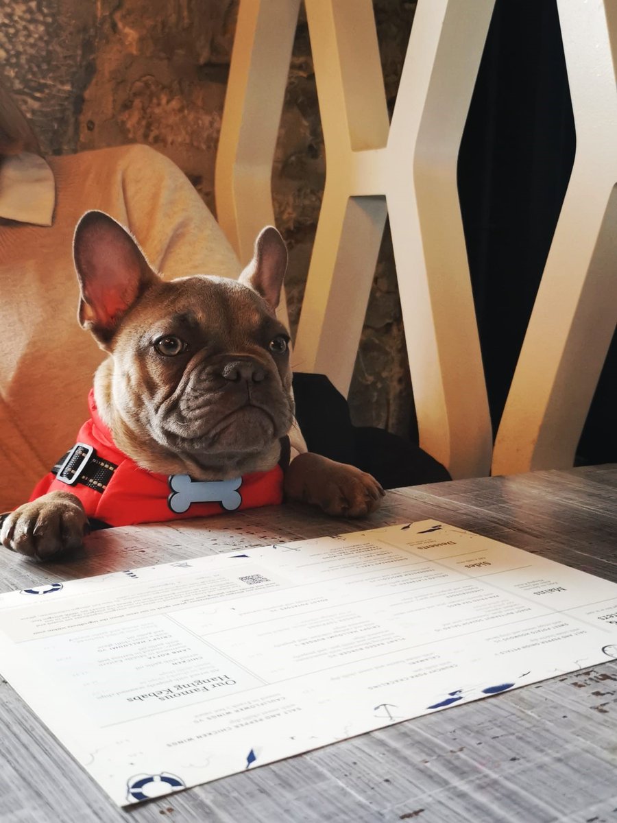 Friday Quiz 
How many teeth do dogs have?
Most popular flavour Walker crisps?
What does Latin word Tempus mean?
How many chukkers in a polo match?
Postcode of House of Commons? 
#fridayfun #quiz