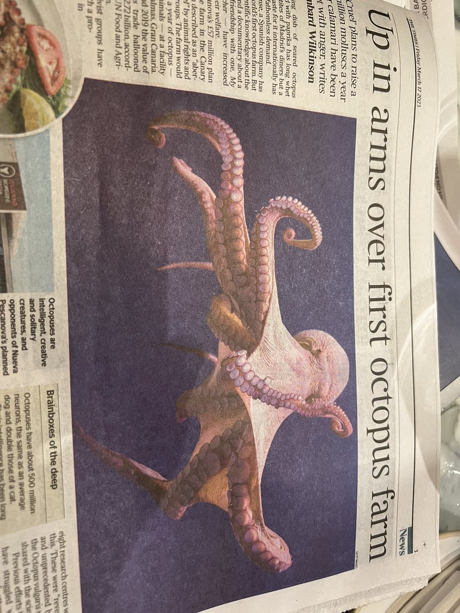 raymond_blanc's tweet photo. The first octopus farm @times .
We all remember the chicken farm intensive farming with total disregard for their welfare .Now,it’s forbidden 
Yet we consider farming octopus which hate light, need space &amp; love solitude .Farming them now seems to be plain  cruelty @foodmadegood https://t.co/eQQjnG0B2a