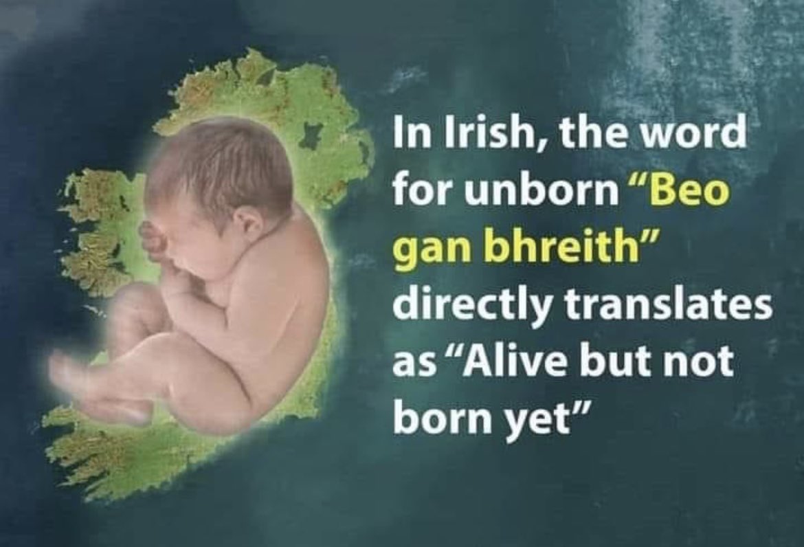 cbrentboles1's tweet photo. The Greek word βρέφος (brephos) refers to both the unborn and born. Greek is a very specific language, and this fact shows that the understanding that there is no value/worth difference between the unborn and the born is an understanding that is thousands of years old. https://t.co/S4RDWBdb0j