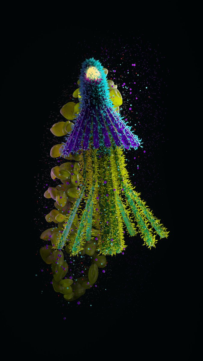 [23-03-17] - Gatti Celentano Virus
Download free C4D (Octane) Project File here: studio-xs.com/230317
.
.
.
#studioxs #cesareperniola #virus #red #neon #bacteria #microscope #octanerender #cinema4d #C4D #worldcreator #mdcommunity #mgcollective #c4dart #3dart #digitalart