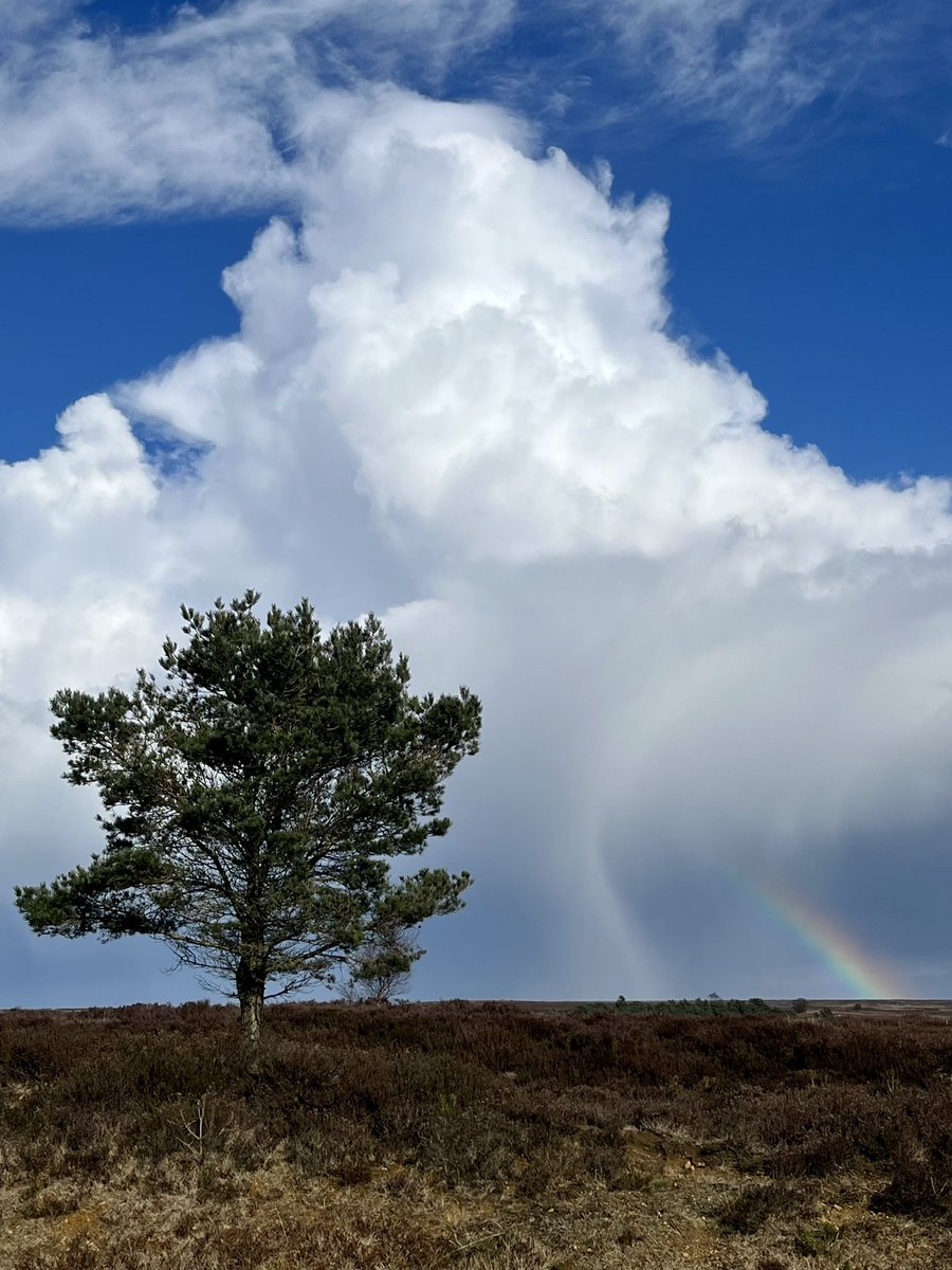 Stunning sky today over the North Yorkshire moors 🌈💙 #northyorkshire #northyorks #weather #cloud