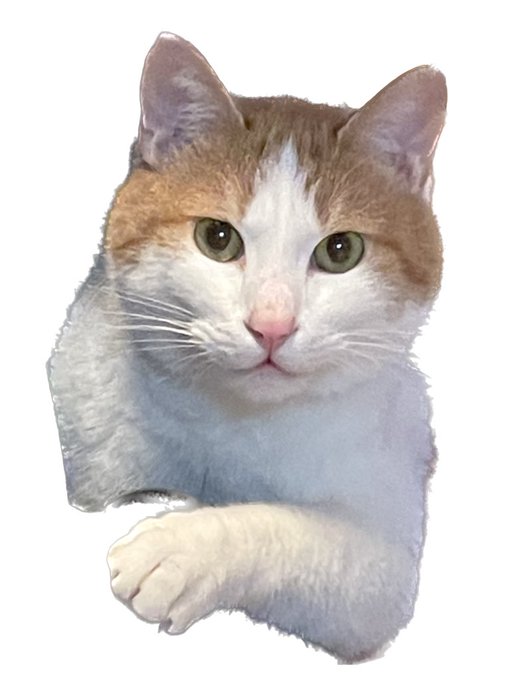 配信!!!!ありがとうございました!!!!!!!どしたん話聞こか猫もあったので貼っておこ 応募ありがとうございました!楽しかったです!! #餅桃ちも 