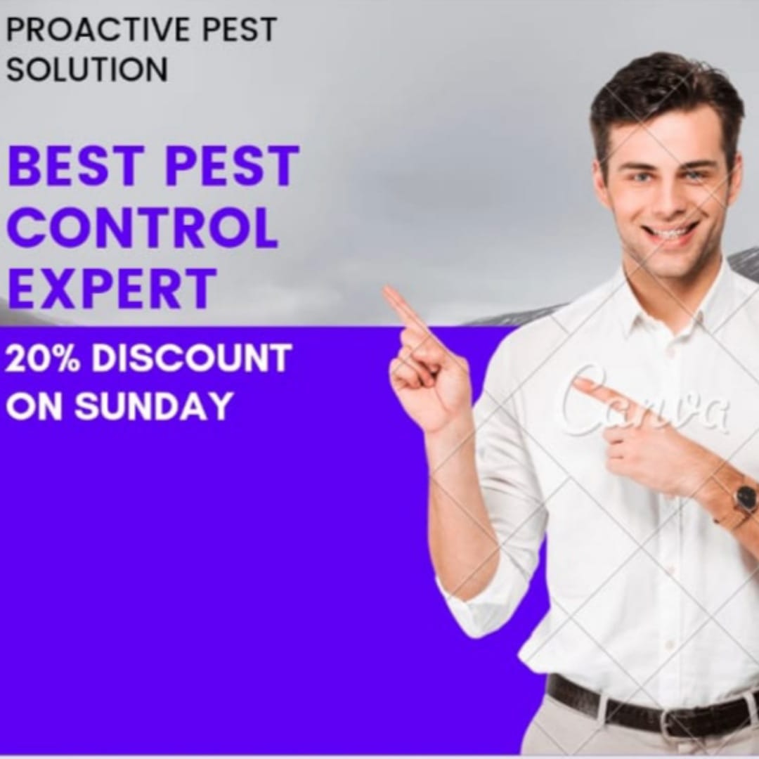 Proactive pest solution deals in all kind of pest control service in delhi ncr

#proactovepestsolution #commercialpestcontrol 
#residentialtermite #rodent #bestpestcontrol #bahadurgarhcity #Noida #ANTS #Gurgaon #bedbugtreatment #mosquitocontrol #mosquitokiller