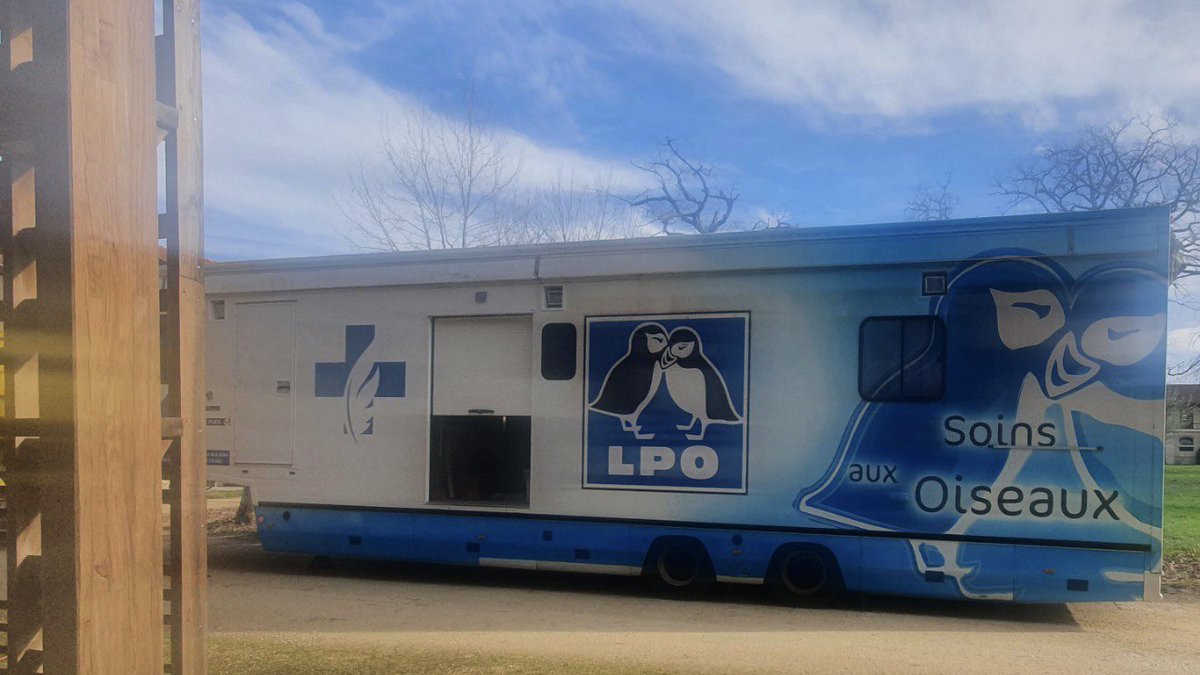 LPO Aquitaine tweet media