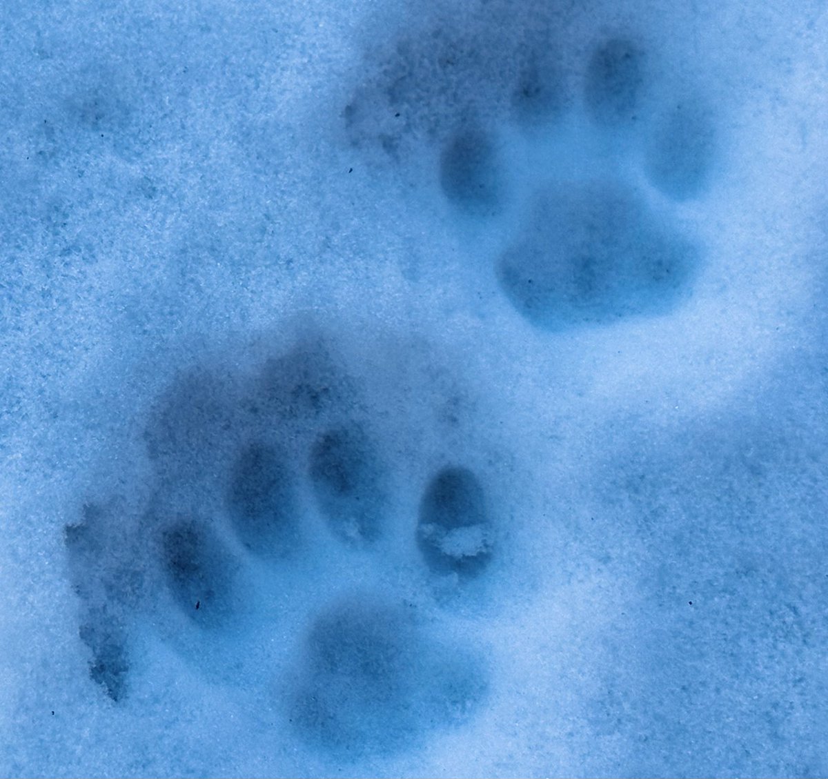 South Park Life tweet media