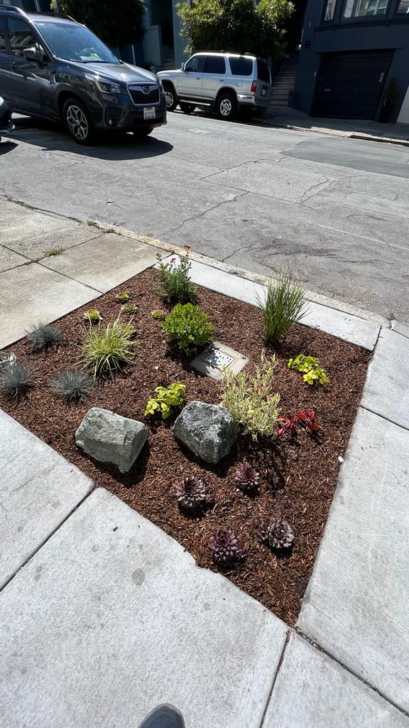 HomescapeNow's tweet photo. Beautiful, creative day  in the neighborhood! ☀️Let @HomescapeNow create your dream outdoor living space!  We do it all from soil to wood feature designs.

#landscaping #outdoorliving #landscapedesign #sanfrancisco https://t.co/IqjxcIM47n