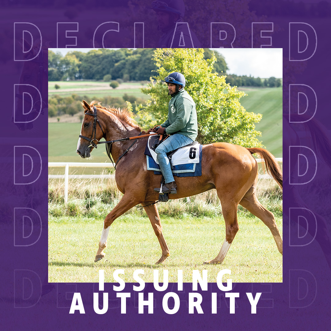 ownersgroupuk's tweet image. Issuing Authority returns today for his owners, after his second place finish at Doncaster in January. Today, he heads to @kemptonparkrace to run in the 4.25. He runs for trainer Nicky Henderson and jockey @NdeBoinville . 🏇🤞 #OwnersGroup #IssuingAuthority
