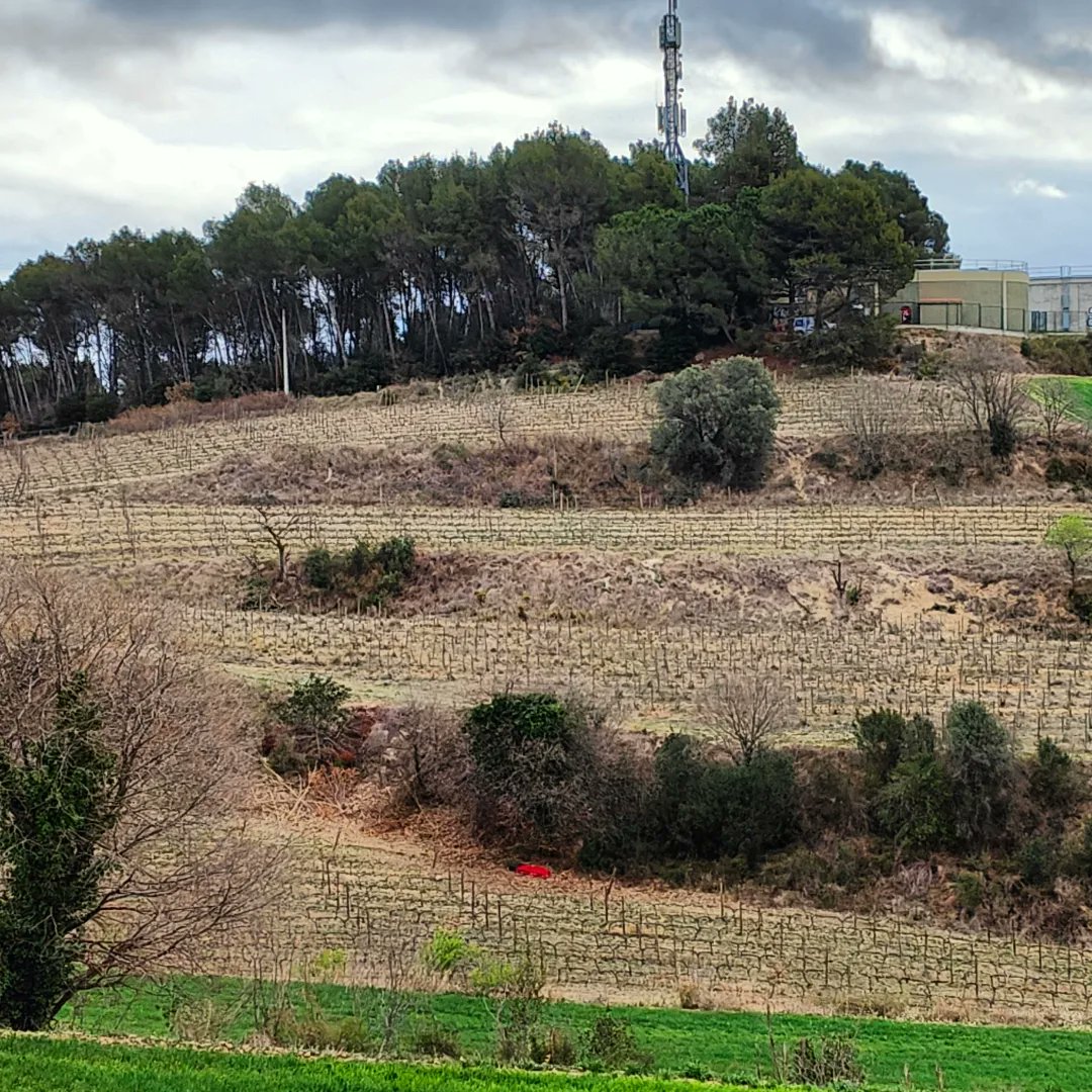 repoblem's tweet photo. El Xavi té 3 hectàrees de vinya ecològica a Lliçà d'Amunt, on li agradaria que puguessin pasturar ovelles. 🐑🐑🐑

Algun pastor per la zona?

➡️ xbvinss@gmail.com https://t.co/IYb6WKTCzB