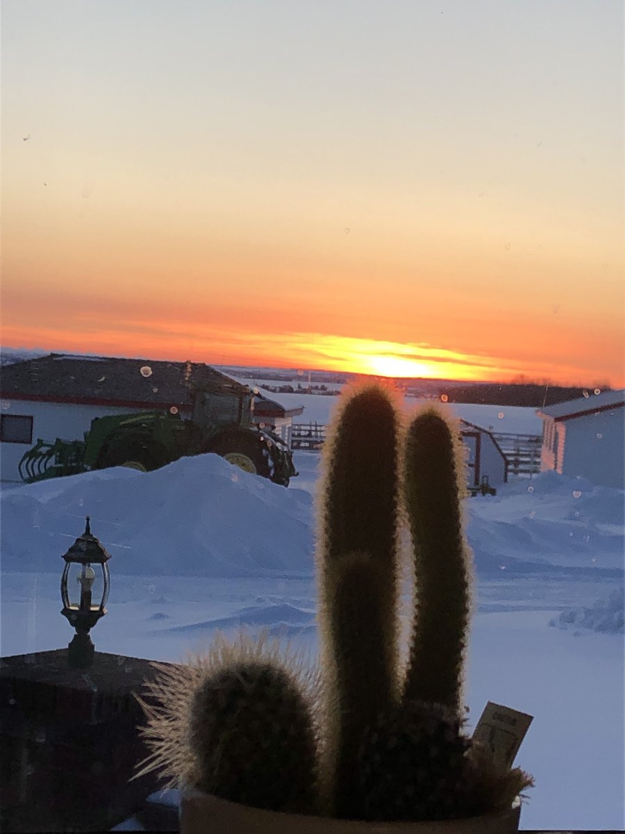 lonnykennett's tweet photo. So my mom sent this to me and decided to explain that this wasn’t taken in Arizona 🤣
#abwinter
#notarizona https://t.co/pGcNeeVvJJ