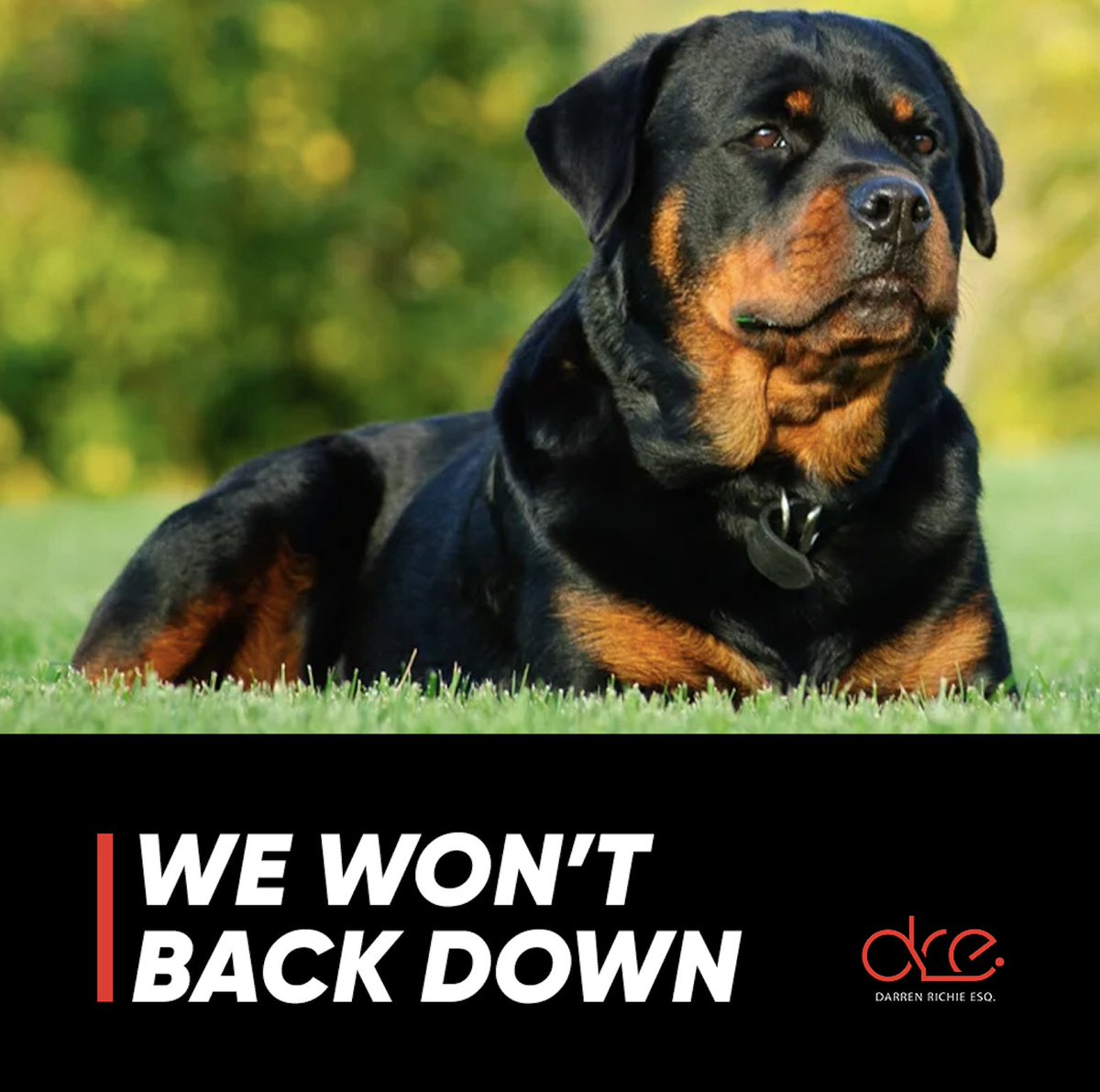 dre_esquire_'s tweet image. #Backingdown isn’t in our nature. We’ll fight with you, for you, to the end.

 #californiaattorney #beverlyhills #orangecounty #rottweiler #lawfirm #attorney