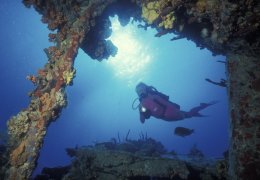 bviholidays's tweet photo. SCUBA Diving in the BVI - https://t.co/4GKOl5w22a https://t.co/7RcVxMYBtm
