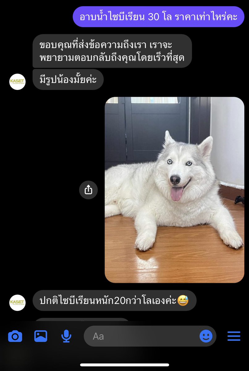 ฟออีนอ tweet media