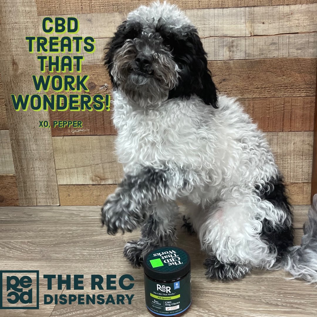 rec_dispensary's tweet photo. Thankyou for stopping in Pepper!! 

#DogsofTwittter #cbdhealth #CannabisCommunity #cannabisculture #cannabislife #therecd #recd #recdispensary #hickory #Denver https://t.co/2y648CHLuD