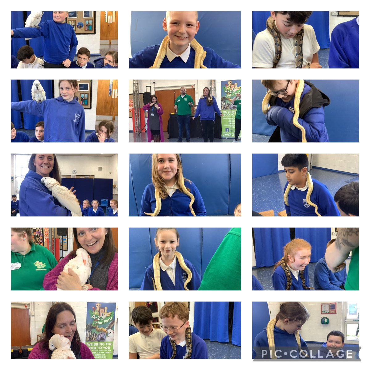 RPS_Kingfishers's tweet photo. A-Z of animals ! What an amazing experience! https://t.co/jATSvNyLzR